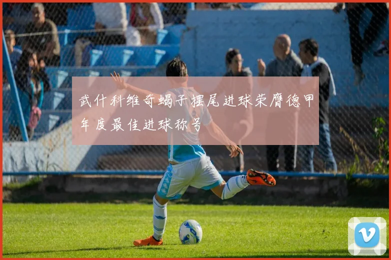 武什科维奇蝎子摆尾进球荣膺德甲年度最佳进球称号