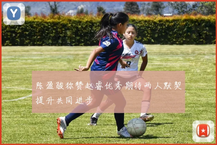 陈盈骏称赞赵睿优秀期待两人默契提升共同进步