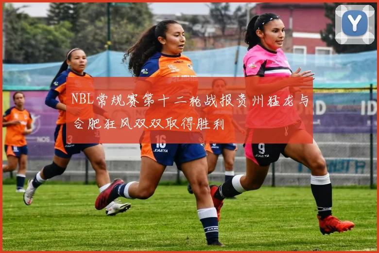 NBL常规赛第十二轮战报贵州猛龙与合肥狂风双双取得胜利