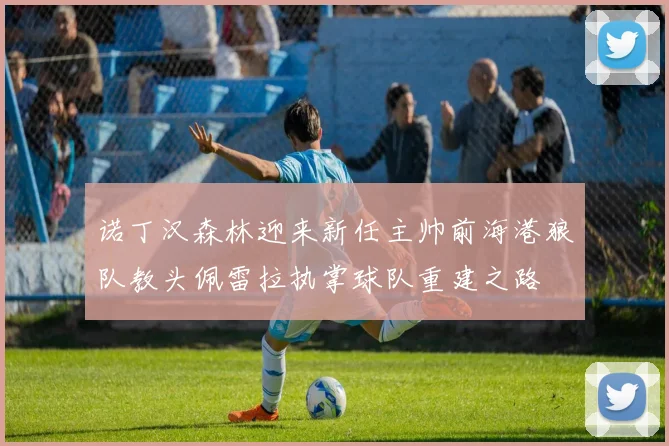 诺丁汉森林迎来新任主帅前海港狼队教头佩雷拉执掌球队重建之路